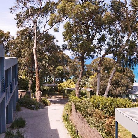 Lorne Surf Apartments Exterior foto