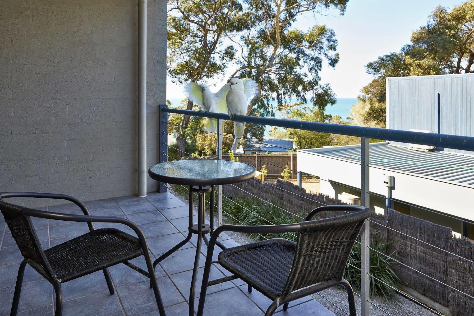 Lorne Surf Apartments Exterior foto